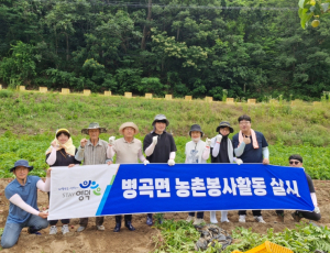 영덕군 병곡면 직원들, 감자밭서 ‘구슬땀’… 농촌 일손돕기 봉사 펼쳐