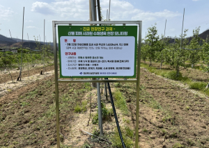 경북도, 산불 피해 사과원‘생육 정밀 모니터링’현장연구 박차!