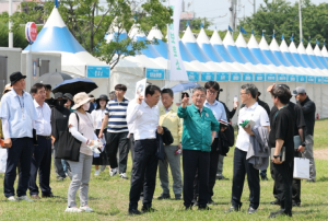 포항시, 국제불빛축제 앞두고 현장 안전관리 총력 … 시민 안전 최우선