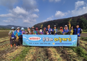 바르게살기운동 의성군협의회, 산불 피해 농가에 마늘 수확 일손돕기 나서