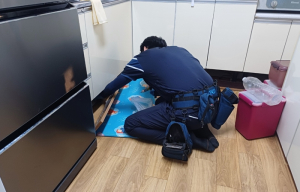 포항시 드림스타트, 취약계층 주거환경 개선 방역 서비스 제공