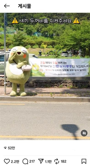 수성구 ‘두꺼비를 지켜라’뚜비 로드킬 방지 영상 조회수 50만 회 돌파, 대박터졌다!