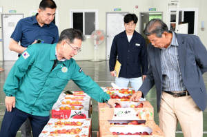 군위군, 농산물 공판장 개장…자두 첫 출하 본격 시작