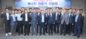 대구시, 안정적인 전력공급 기반구축, 에너지 전문가 간담회 개최
