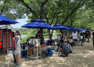 수성 벼룩시장, 자원 재활용도 하고 이웃도 돕고!