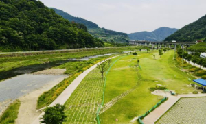 청도군 파크골프장, 밤에도 활짝!
