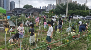 장마도 이기는 어린 농부들! 포항시, 농업 체험교육 열기 ‘후끈’