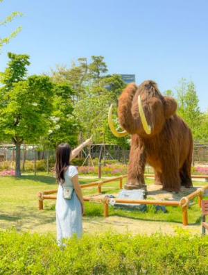 봄꽃과 축제 알린 달서구, 온라인 바이럴로 관광 효과‘톡톡’