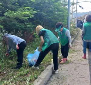 김천시 양금동 새마을협의회 연도변 풀베기 및 환경정비 실시