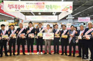 청도군 청도복숭아, 울산을 달콤하게 물들이다!