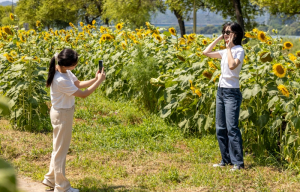 “경북 칠곡에 사람과 꿀벌을 위한 1km 길이 있다?”