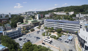 안동시, `2025 도심권 문화놀이터 조성사업` 운영 지원자 모집