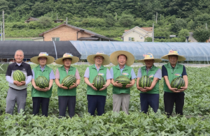 경북도, 수박-토마토 이모작으로 농가당 4~10억원 거뜬... 농업대전환 혁신모델로 뜬다