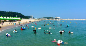 울진군 해수욕장에서 즐기는 특별한 힐링여행