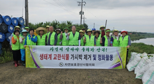 자연보호경산시협의회, 자인교 인근 오목천에서 가시박 제거