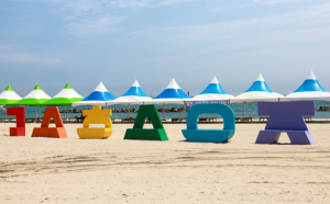 울진군 주요 해수욕장, 7월 18일 일제 개장
