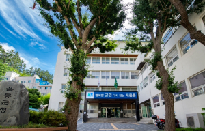울릉군, 민생회복 소비쿠폰 1차 지급 시작