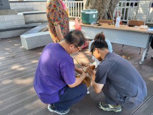 울릉군, 반려견 광견병 무료접종·동물보호 캠페인 전개