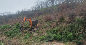 의성군, 산불피해지 위험목 제거 사업 추진