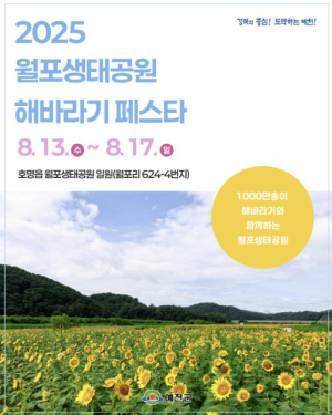 예천군, ˝놀면 뭐하니껴~ 월포 가보자GO˝ 해바라기 페스타 13일 개막