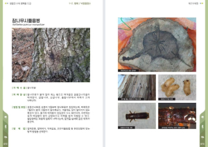 도시 수목 관리의 길라잡이…대구수목원, ‘생활권 수목 병해충 도감’ 발간