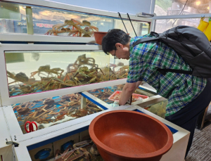 영덕군, 현장 점검으로 여름철 수산물 안전관리 강화