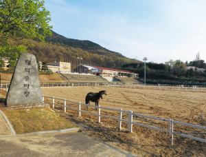 대구공공시설관리공단 대덕승마장, ‘2025년 실버 힐링승마 시범사업’ 운영