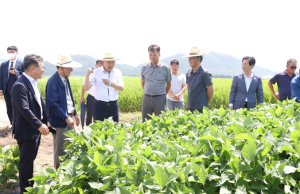 경주시, 혁신농업타운 현장 간담회 열고 농업대전환 가속화