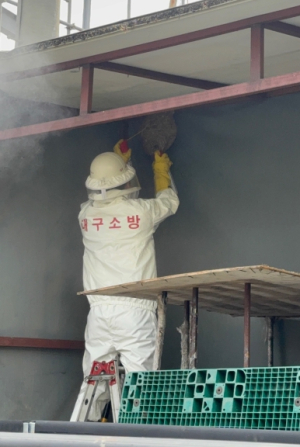 대구소방안전본부, 여름철 벌 쏘임 주의보… 절반 이상 8·9월 집중