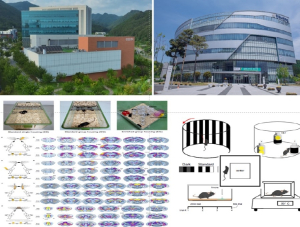 케이메디허브-한국뇌연구원,전임상 연구 인프라 국제적 연구발전에 기여