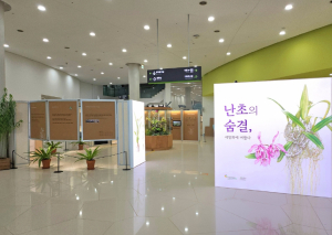 국립대구과학관, ‘난초의 숨결, 세밀화에 머물다’ 팝업전 개최 희귀 난초 28점 세밀화로 들여다보는 진화와 생존의 기록
