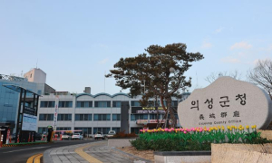 의성군, 의성마늘목장 사료용 한지형 마늘 수매