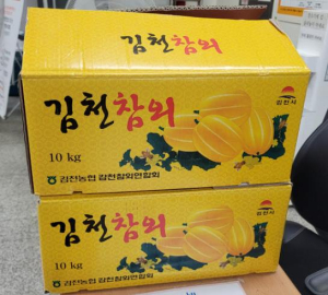 감천면, 김천시 최대 참외 주산지 위상 이어간다