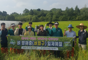 성주군, 벼멸구 일제예찰 실시