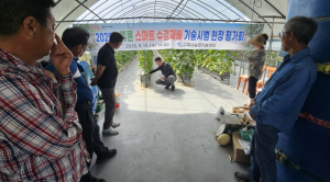 구미시, 멜론 스마트 수경재배 시범사업 성과 점검