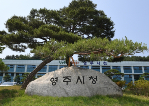 영주시 9월 정기분 재산세(토지, 주택2기분) 82억 원 부과