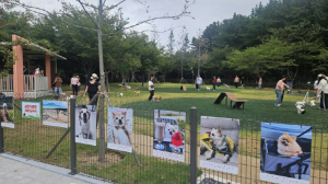 포항시, 두 번째 반려동물 전용 테마공원 ‘포항펫필드’ 문 열어