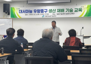 고령군, 대서마늘 우량종구 증식체계 구축 성과