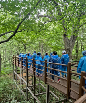 자연에서 치유와 회복…경주시 치매안심센터 힐링 프로그램 운영