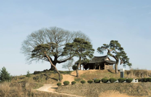 예천군 동래정씨 12세조 삼수공 포내(浦內)입향 600주년 기념행사 개최