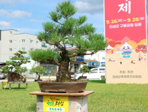 의성군 축제와 함께하는 분재 전시로 고품격 거리 조성