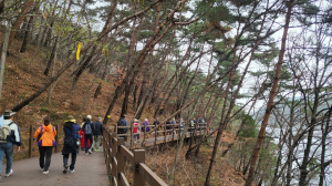 달성군, 16일 ‘둘레길 걷기 행사’ 개최