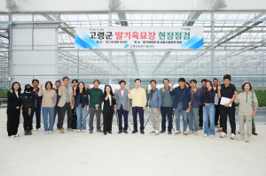고령군, 딸기 우량모주 생산 현장 점검