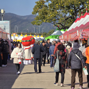 ‘청송~다시 푸르게, 다시 붉게’… 청송사과축제 화려한 개막