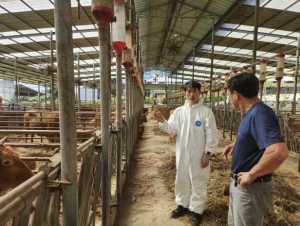 1++등급 비율 껑충, 도체중 쑥↑… 예천 한우 붐업 스토리