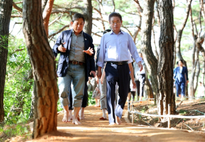 경북도, 천년숲 황톳길 새단장! 맨발로 걷고 건강도 채우세요!