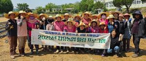 의성군, 서부1리 치매보듬마을서 고구마 수확행사 열어