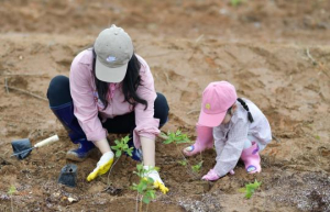 영덕군, ‘진달래 심기 자원봉사 투어’ 2차 프로그램 운영