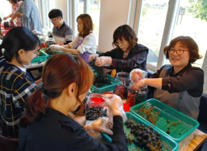 영천 뱅꼬레 와이너리, 핼러윈데이 행사 개최