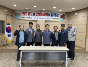 문경시, `최고당도 감홍사과를 찾아라` 대회 열어